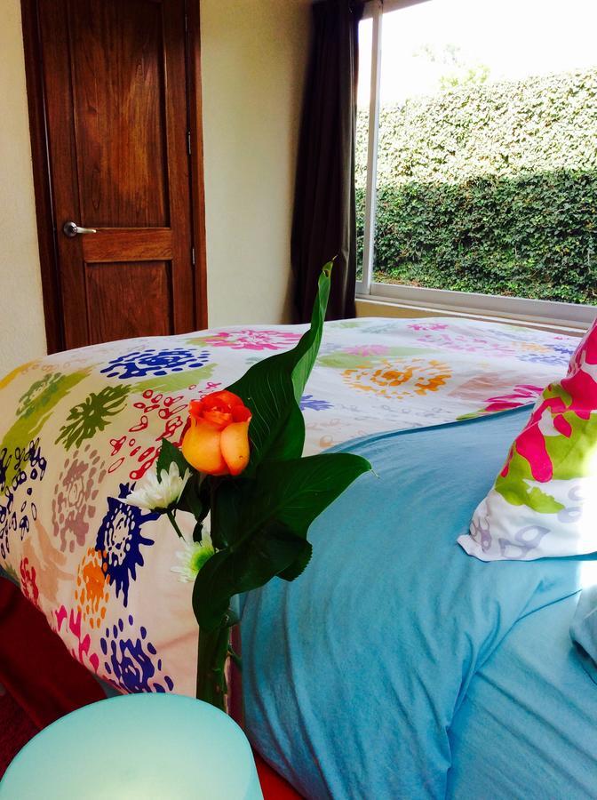 דירות מקסיקו סיטי Casa Roa (Adults Only) מראה חיצוני תמונה
