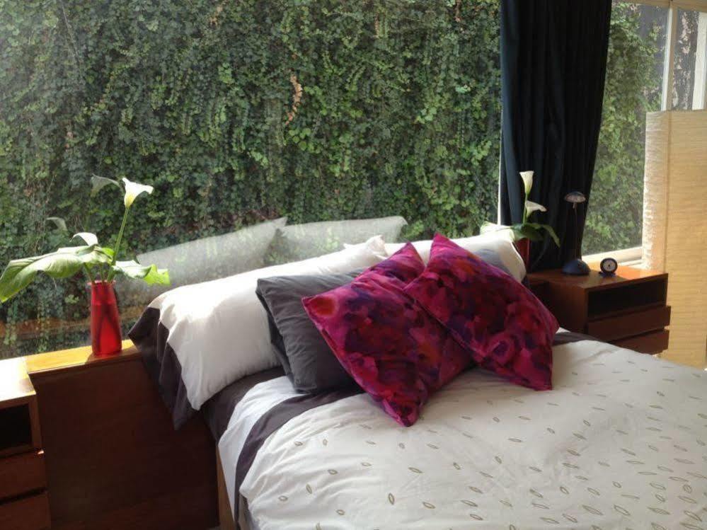 דירות מקסיקו סיטי Casa Roa (Adults Only) מראה חיצוני תמונה